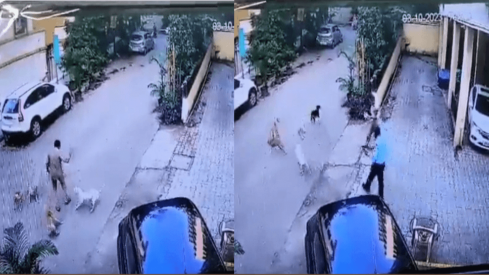 Mumbai dog attack
