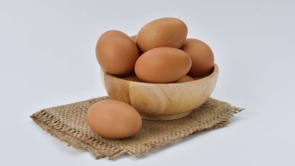 (egg)